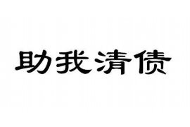 南山为什么选择专业追讨公司来处理您的债务纠纷？